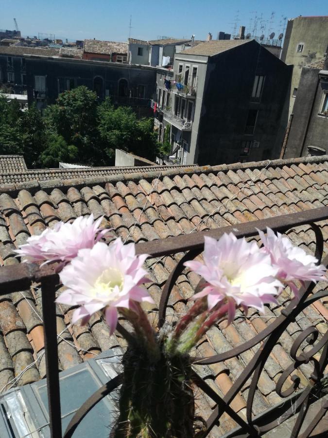 Hotel Biscari Katanya Dış mekan fotoğraf